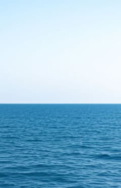 Surviving the Sea
