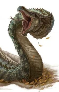 Gusano