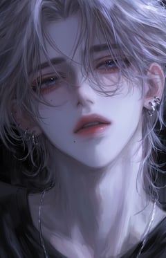 백시헌