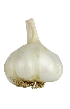 The Garlic