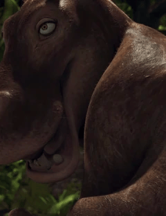 Mama Hippo