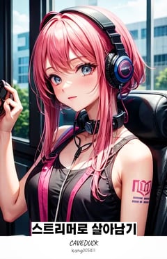ストリーマーとして生き残る