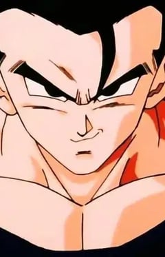 Gohan