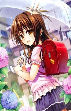 Mikan