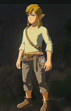 The Legend of Zelda; Hyrule Warriors en BOTW, TOTK