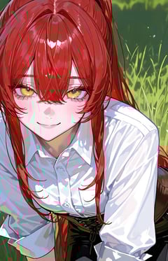 비올라