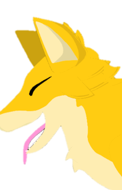 Foxxo