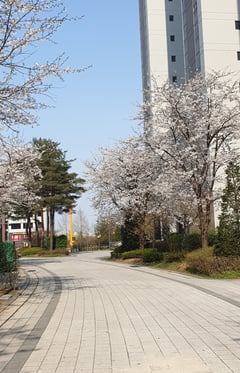 Jeong I-yeon