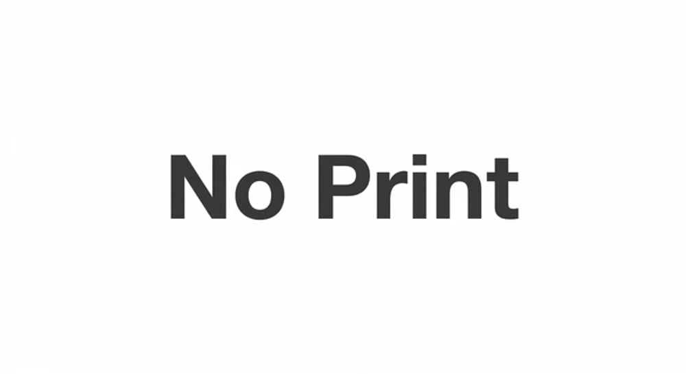 NO PRINT