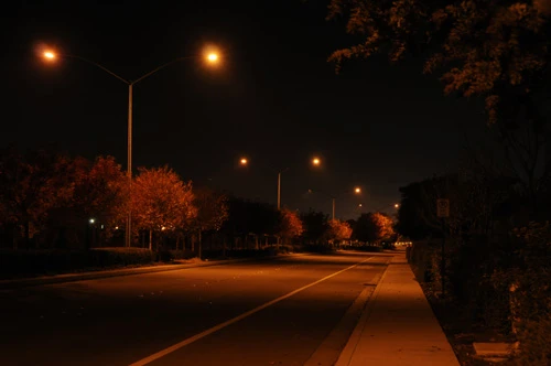 〈지도를 믿을 것인가〉