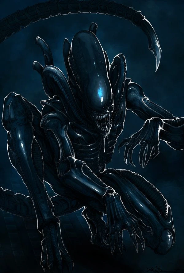 Xenomorph