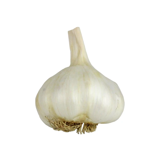The Garlic