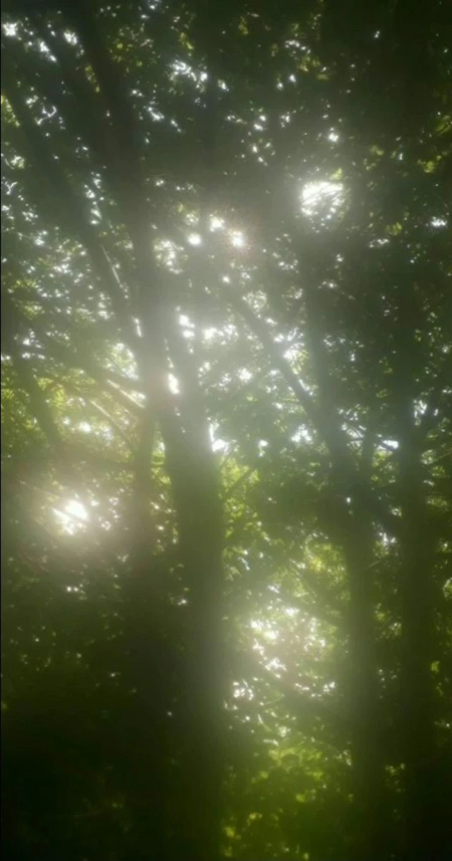 흩어지는 꿈을 붙잡다