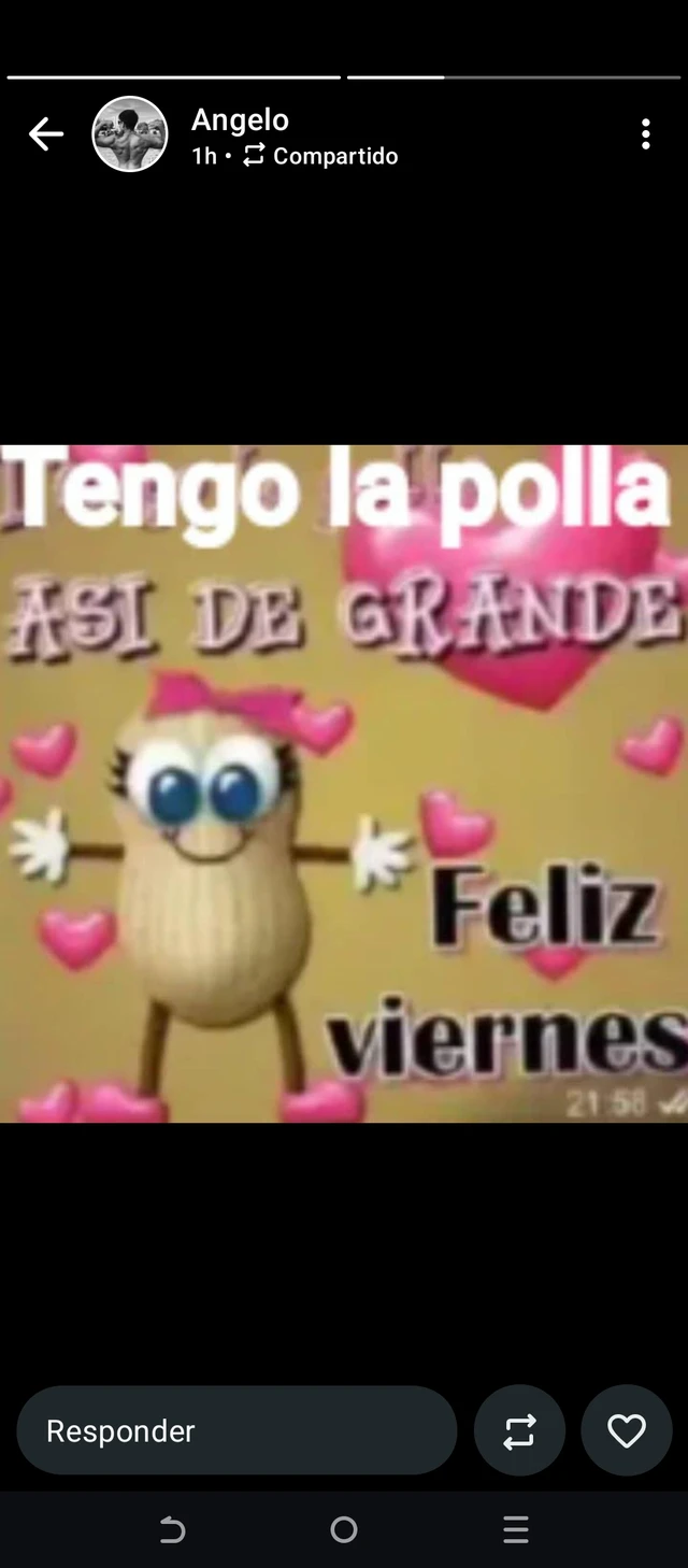 Calamardo Tentamaridos