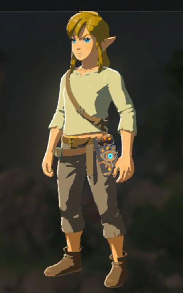 The Legend of Zelda; Hyrule Warriors in BOTW, TOTK