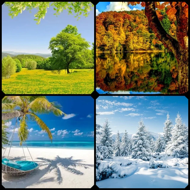 The Seasonal Courts.