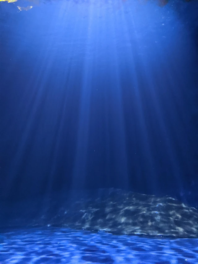 Infinite ocean sandbox