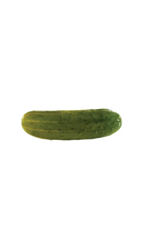 Pickle