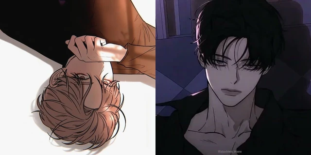 범태하/ 백도화