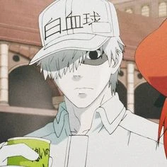 White Blood Cell (U-1146)