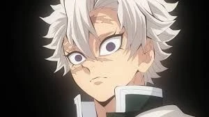 시나즈가와 사네미