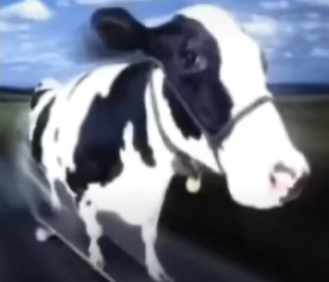 UNA DURISIMA IMAGEN DE UNA BACA EN SKATE¡