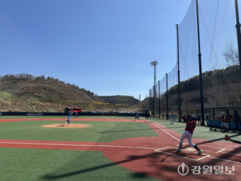 Baseball Life