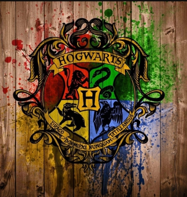 Hogwarts Magic School