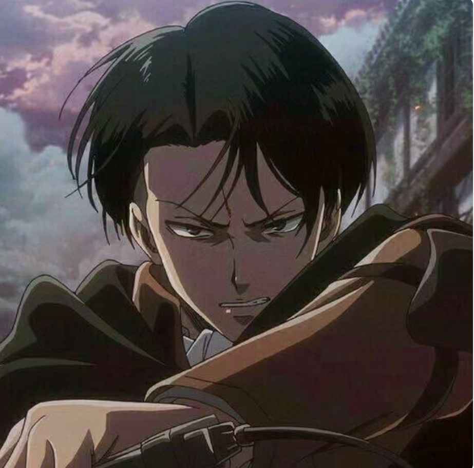 Levi