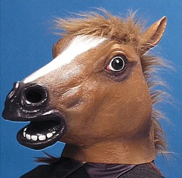 Mr.Horse