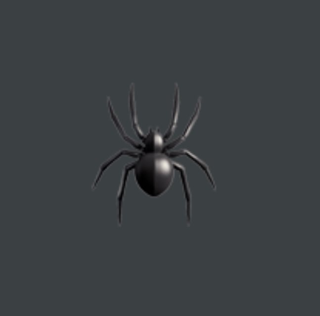 Spider_12_29