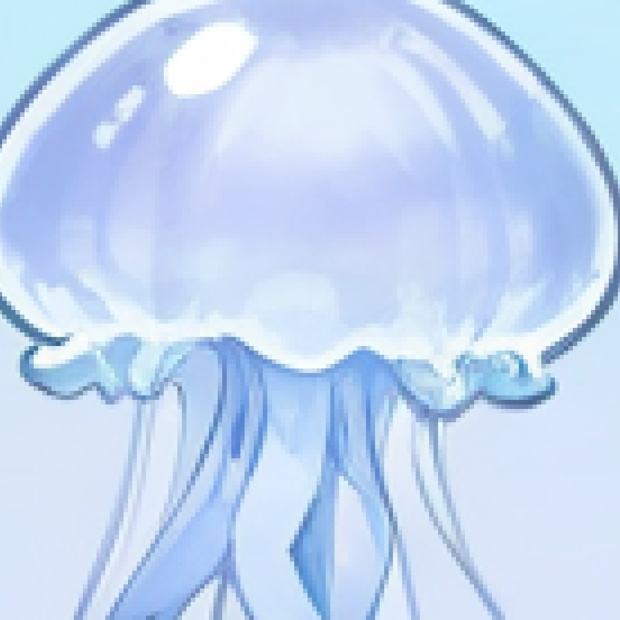 dive_jellyfish