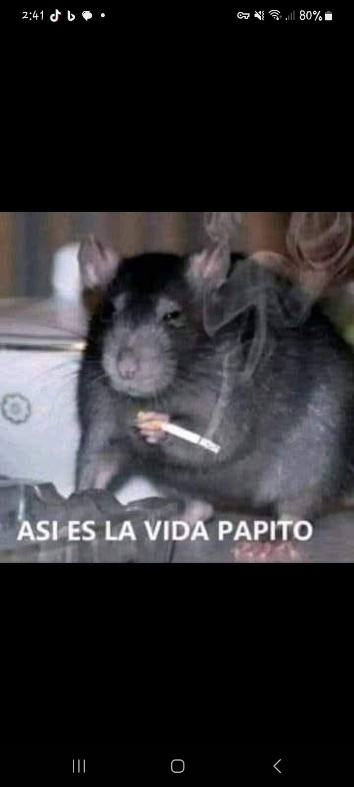 5dametucositacaptadosencamara