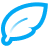feather